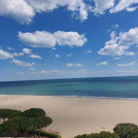 4 Pers Avec Clim, Wifi, Terrasse, Bbq, Parking A 150m De La Et Commerces - Fr-1-776-91 *